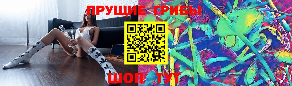 где купить наркотик  Галлюциногенные грибы Cubensis  Коркино  Вход с VPN  Псилоцибиновые грибы GOLDEN TEACHER 